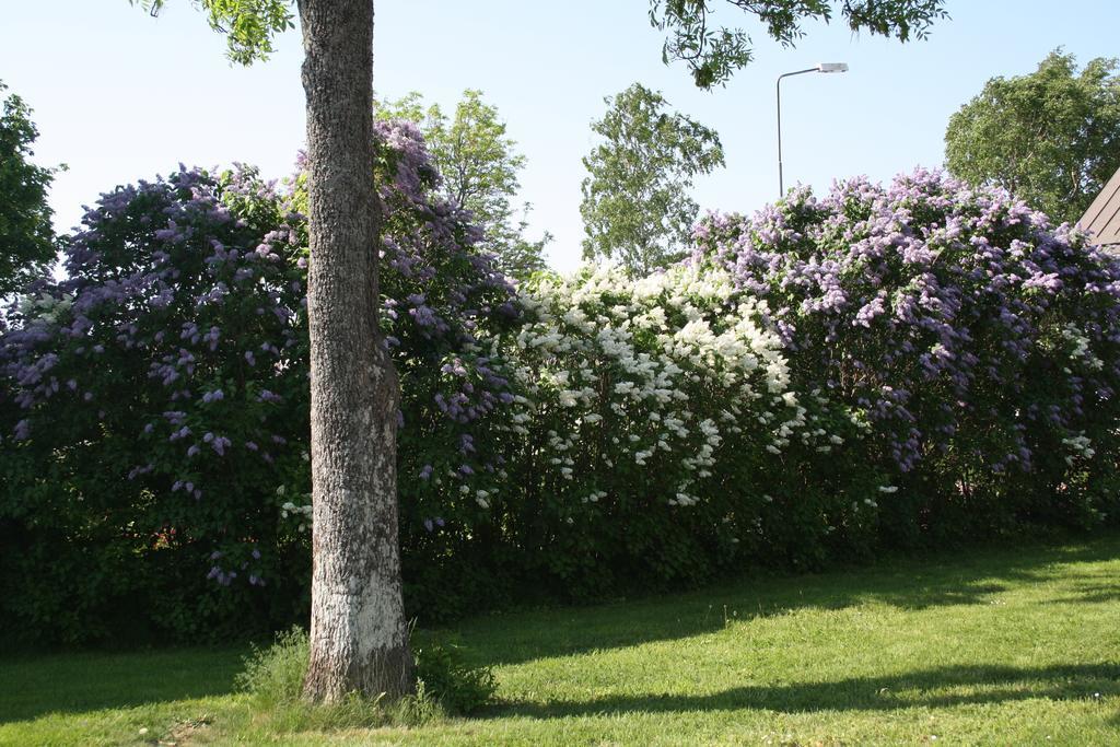 Gaesthem Kronan Mariehamn Cameră foto